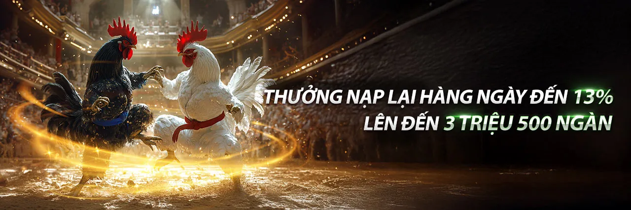 Đá gà trực tuyến kịch tính tại mbet link vào